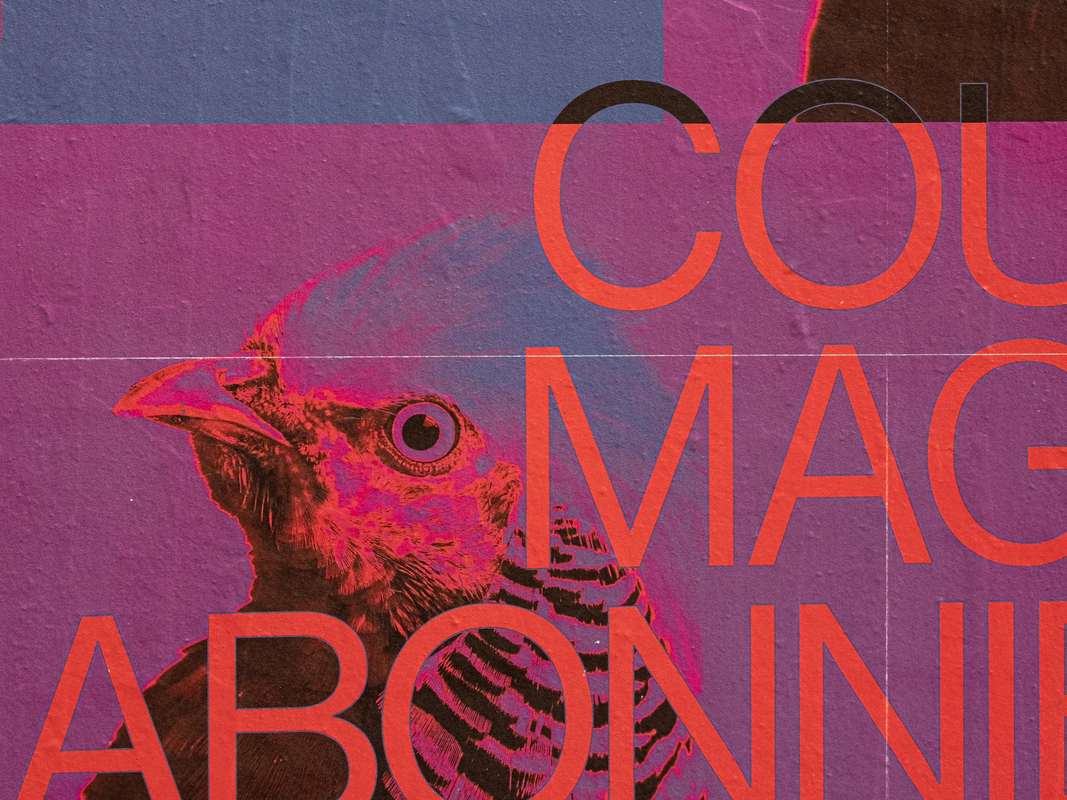 MultiSet: Coucou Kampagne (Fig.2)