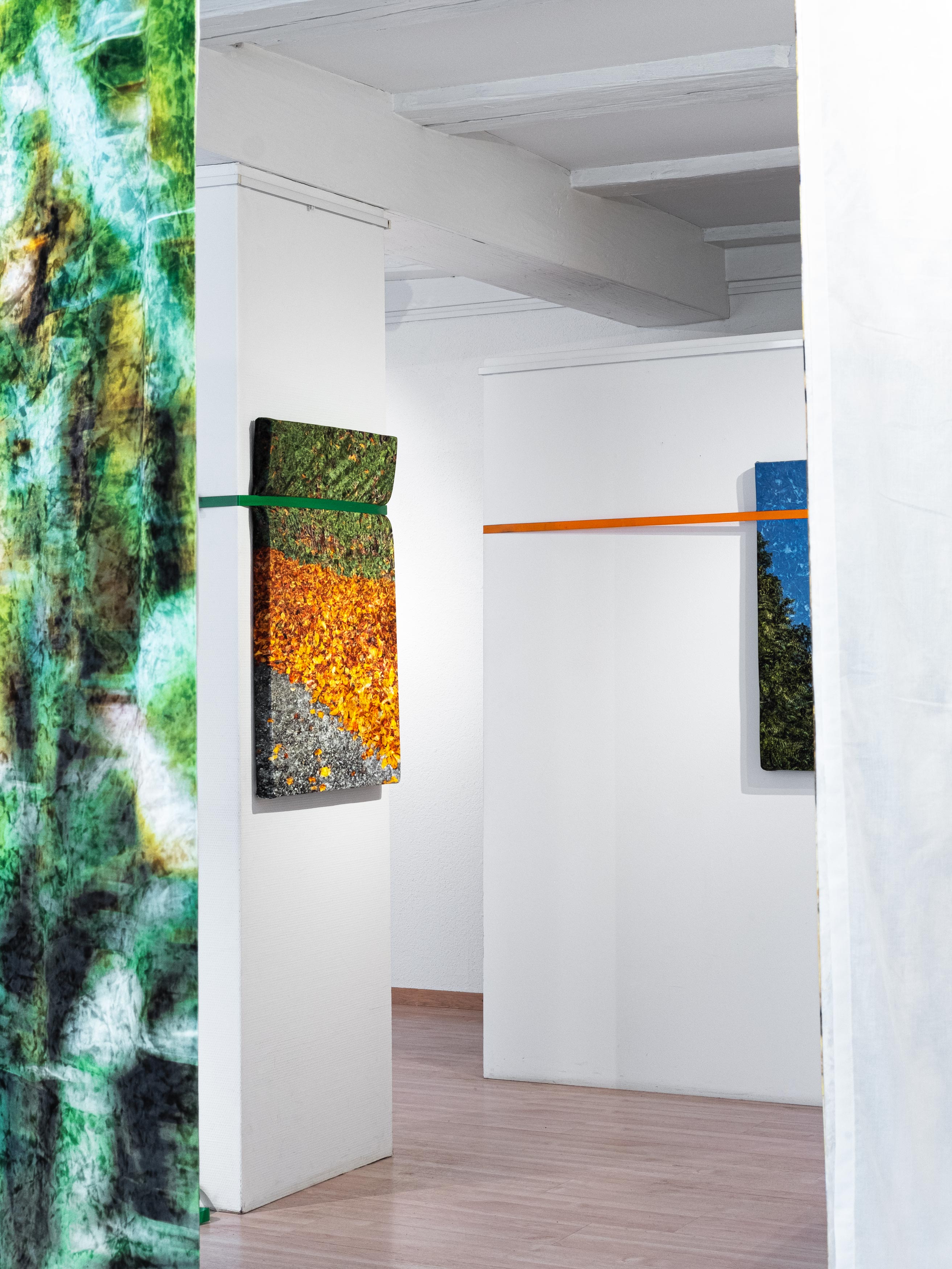 MultiSet: Ansichten (Fig.15)