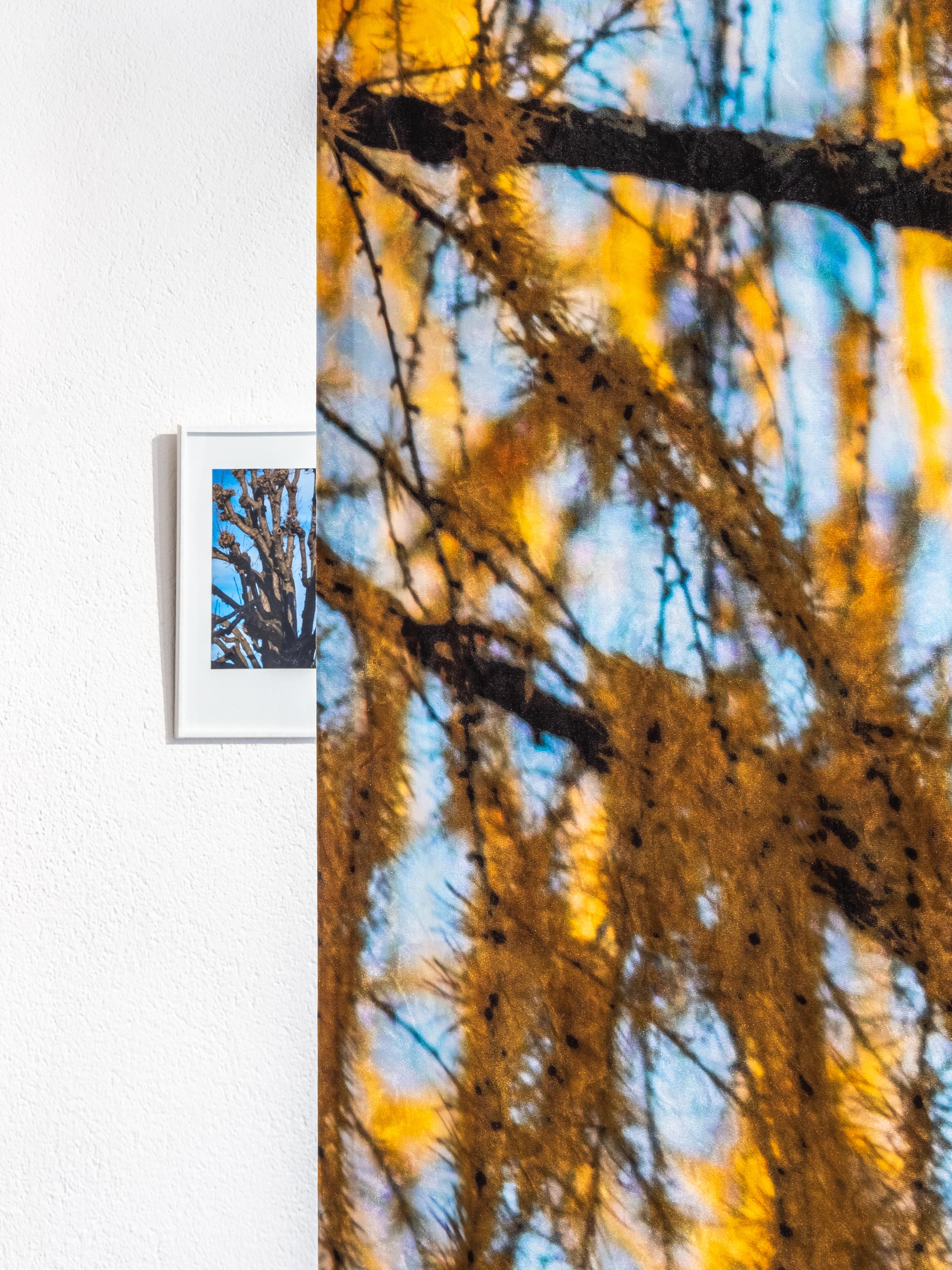 MultiSet: Ansichten (Fig.7)