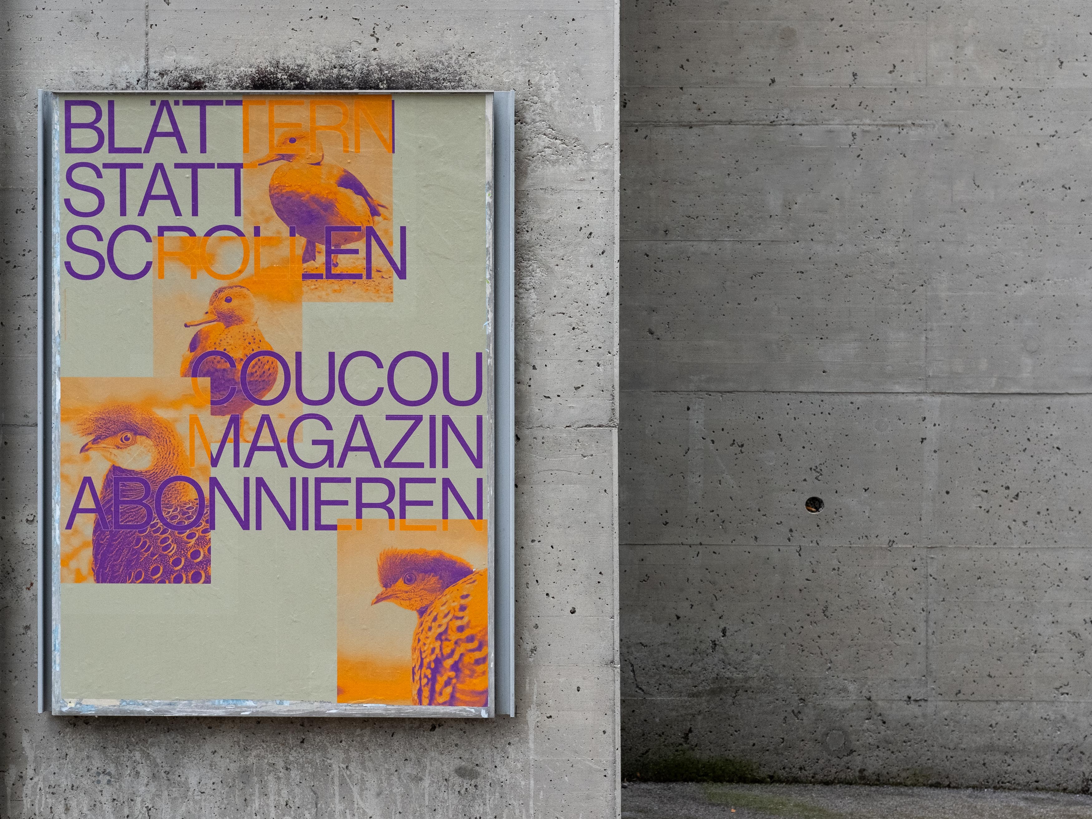 MultiSet: Coucou Kampagne (Fig.9)