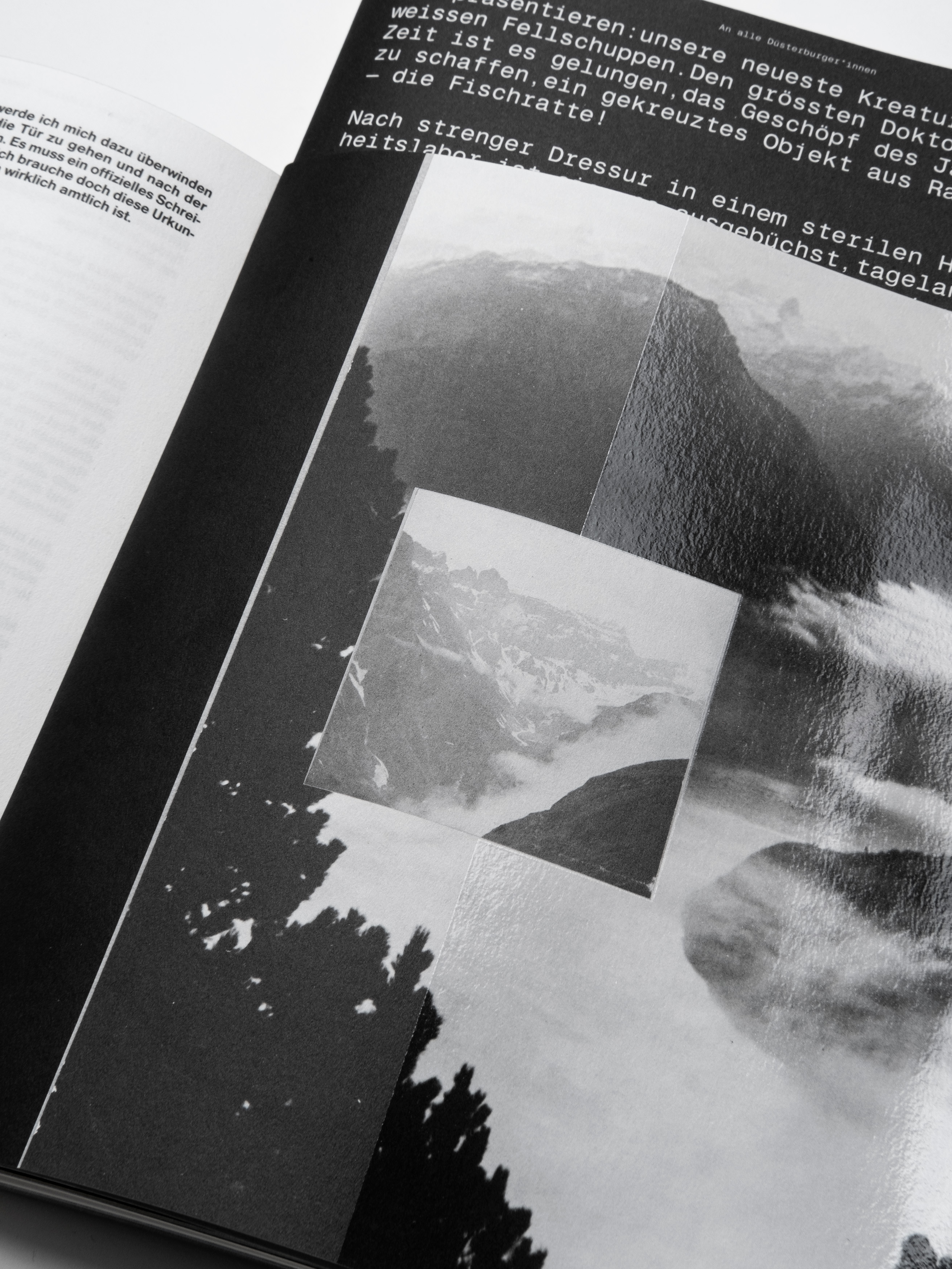 MultiSet: Denkbilder Magazine Nr. 55 (Fig.13)