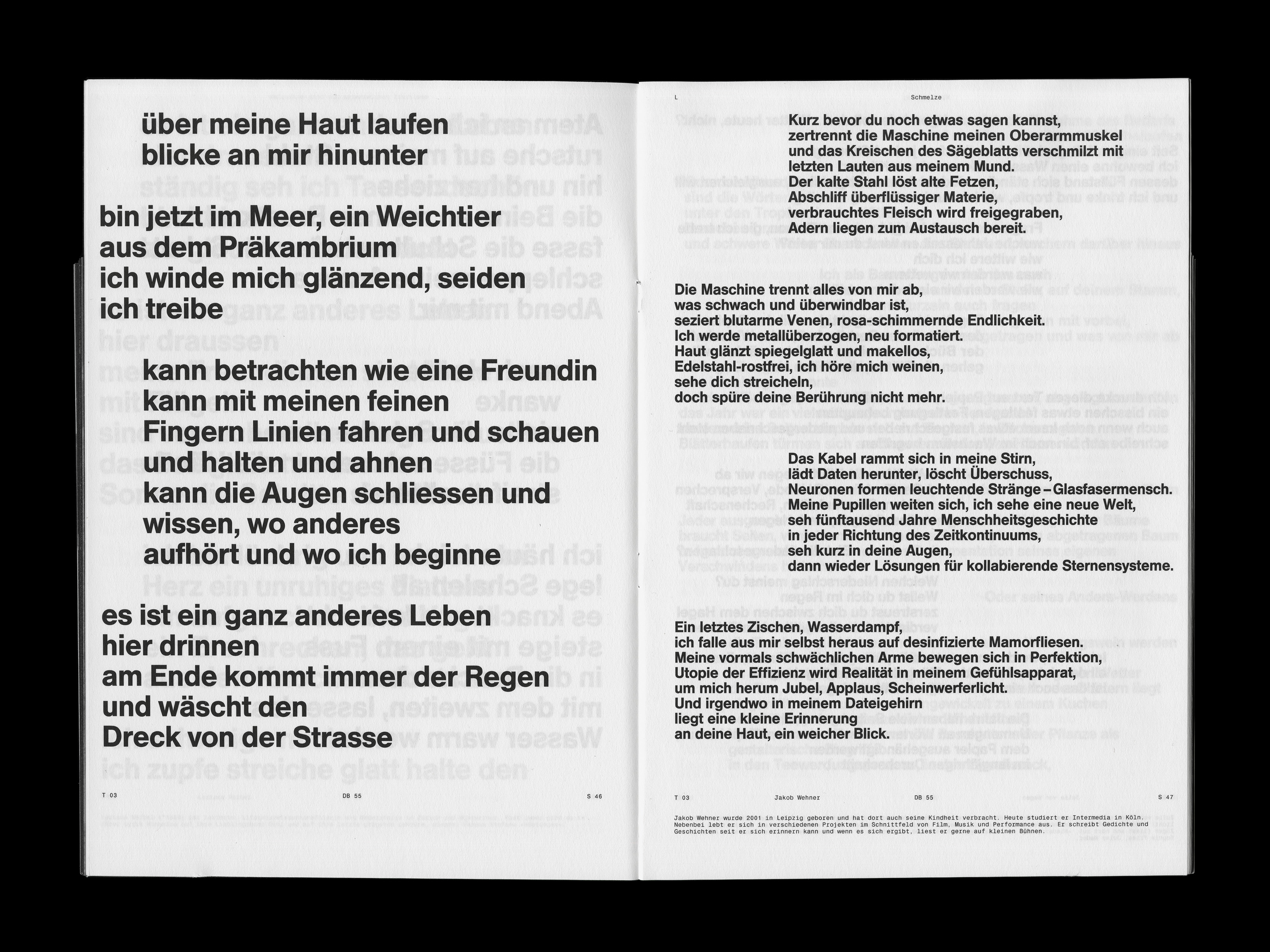 MultiSet: Denkbilder Magazine Nr. 55 (Fig.19)