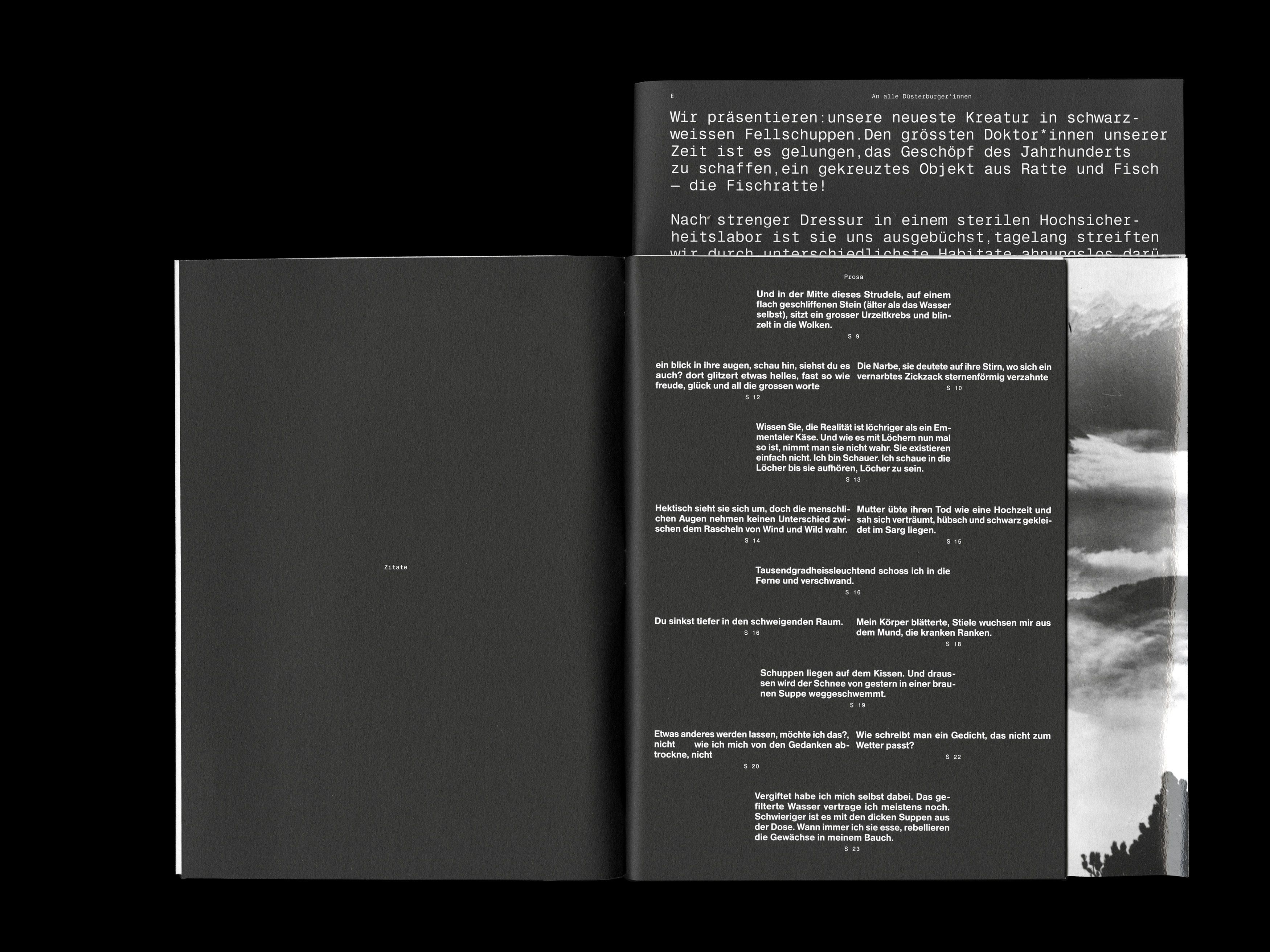 MultiSet: Denkbilder Magazine Nr. 55 (Fig.9)