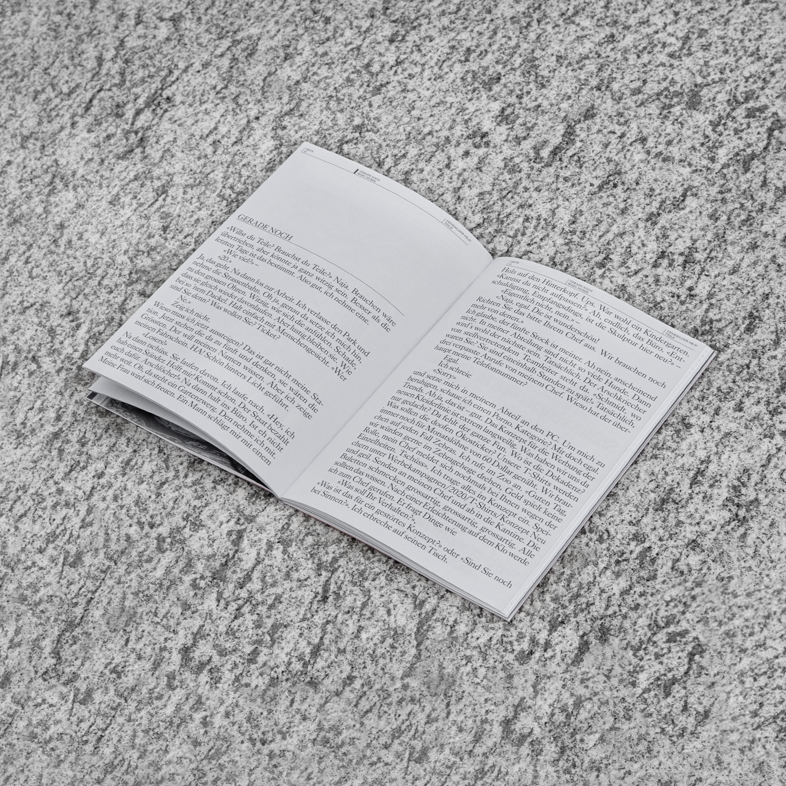 MultiSet: Denkbilder Magazine Nr. 47 (Fig.6)