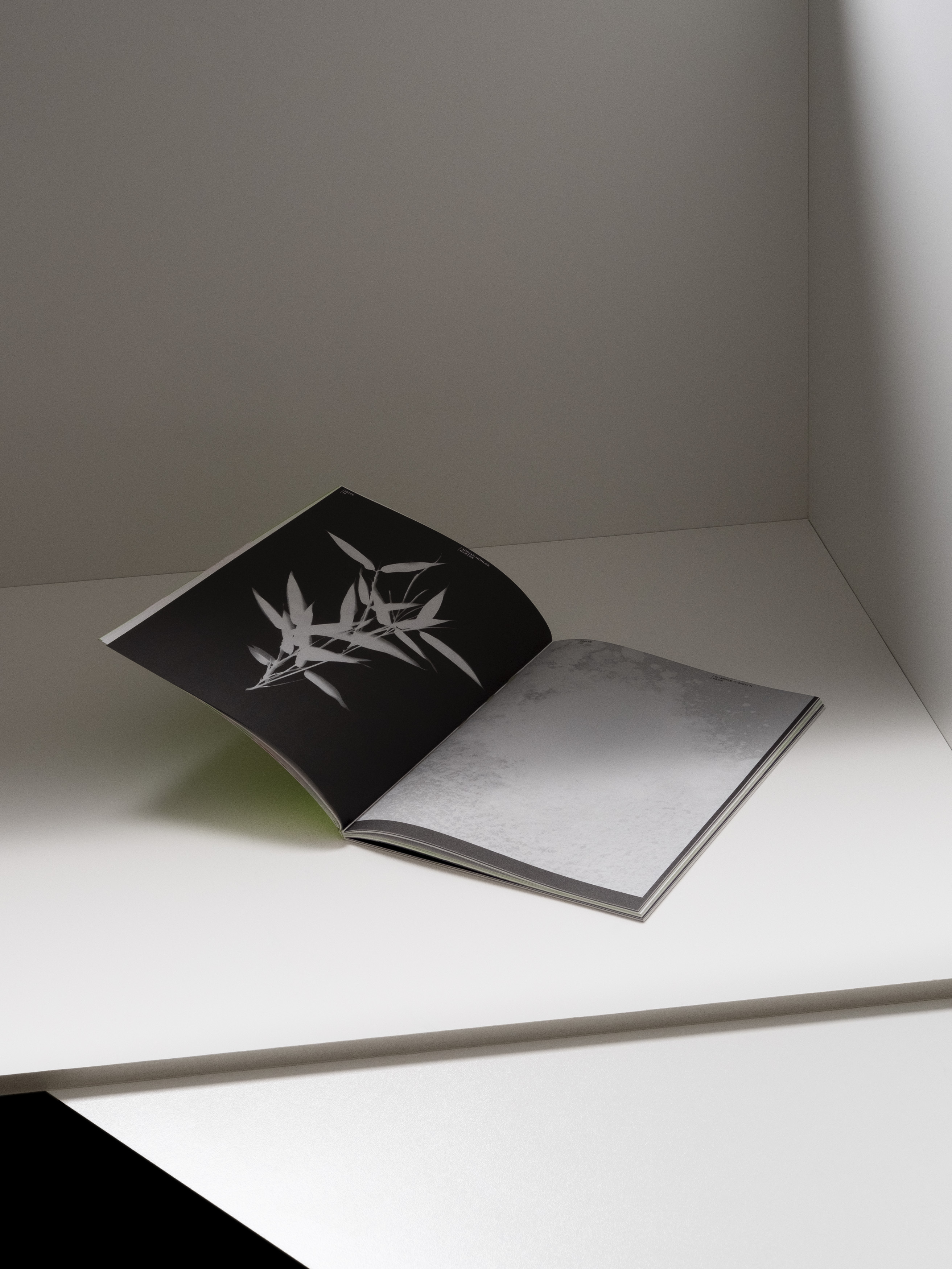 MultiSet: Denkbilder Magazine Nr. 49 (Fig.6)