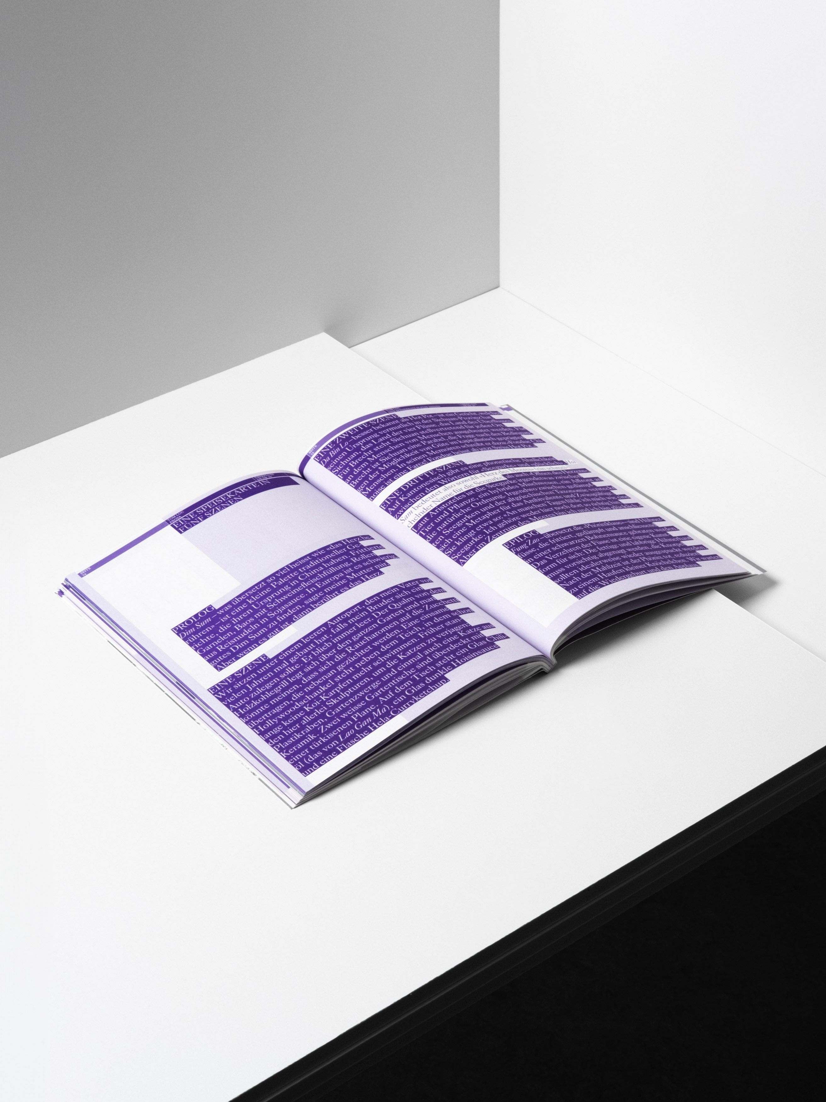 MultiSet: Denkbilder Magazine Nr. 50 (Fig.11)