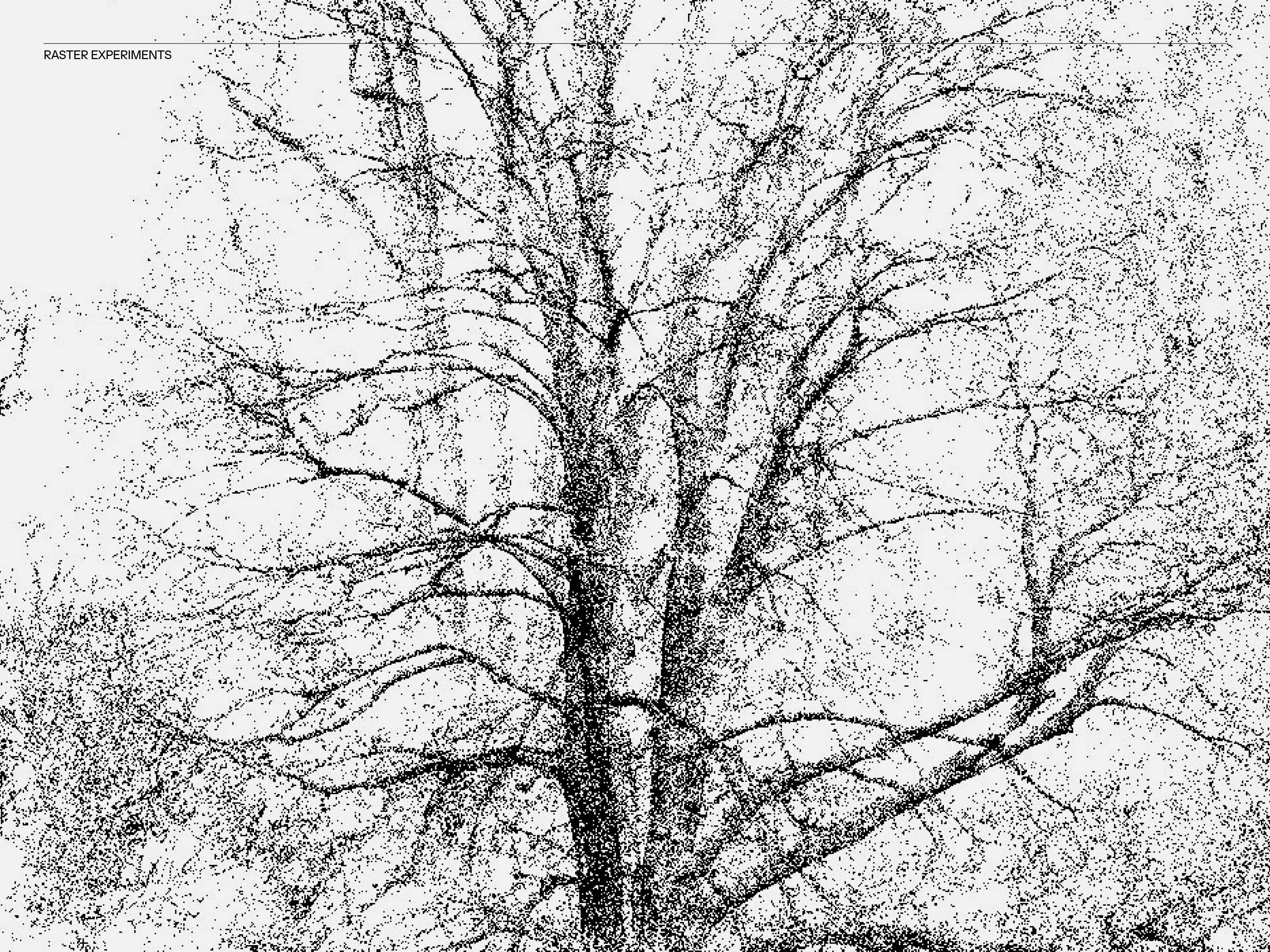 MultiSet: Neo- Badenfahrt (Fig.19)